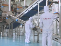 2025年的第一個(gè)月，承德亞歐果仁有限公司在山杏產(chǎn)業(yè)的道路上持續(xù)奮進(jìn)，展現(xiàn)出蓬勃的發(fā)展活力。